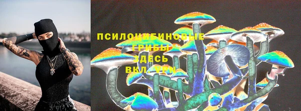 альфа пвп Заводоуковск