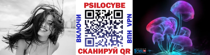 Галлюциногенные грибы Psilocybe  Купить закладки  Емва 